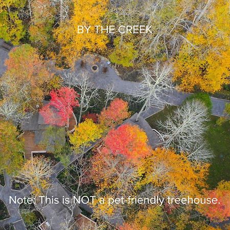 The Dogwood In Treehouse Grove At Norton Creek Villa Gatlinburg Exteriör bild