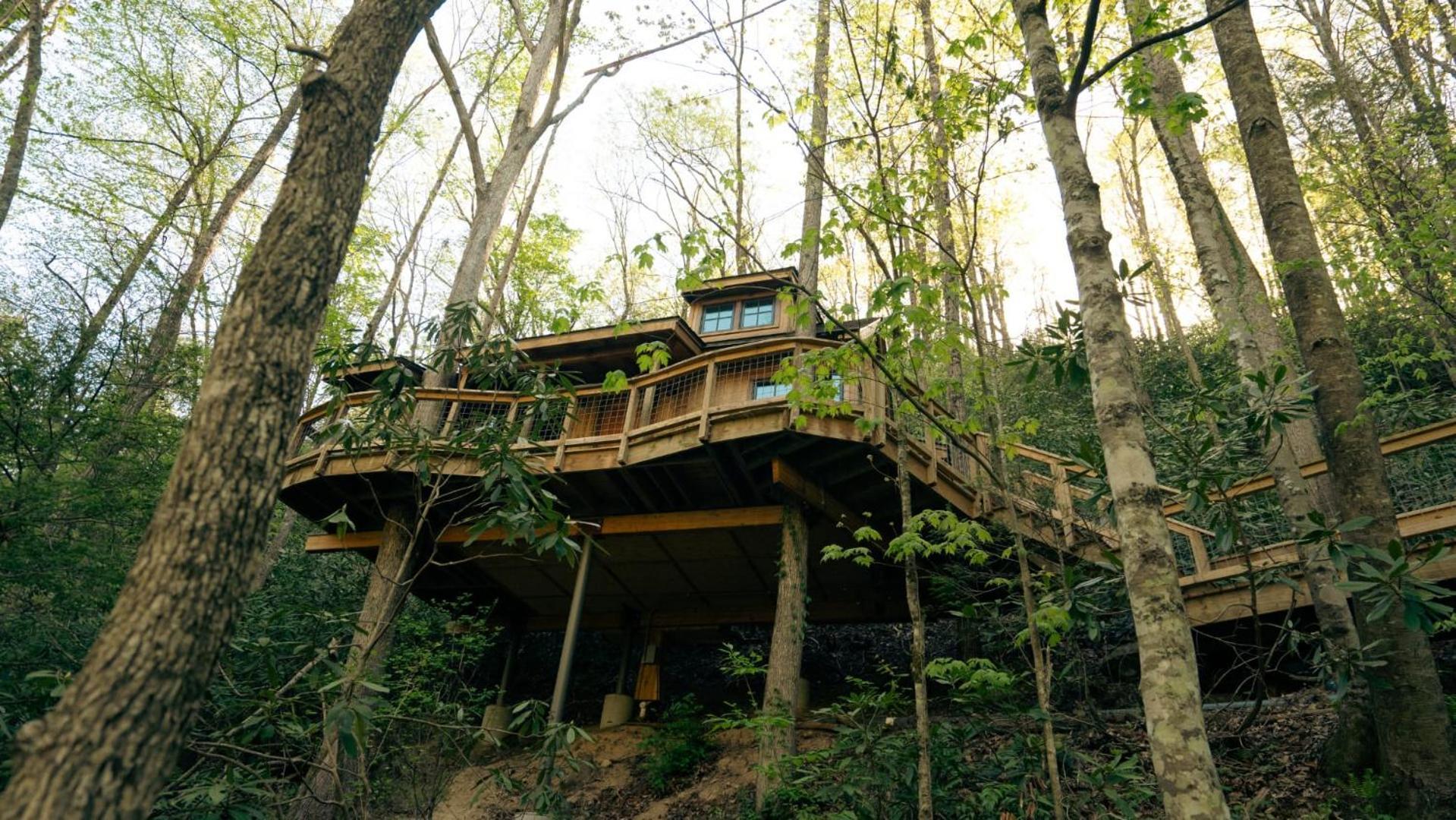 The Dogwood In Treehouse Grove At Norton Creek Villa Gatlinburg Exteriör bild