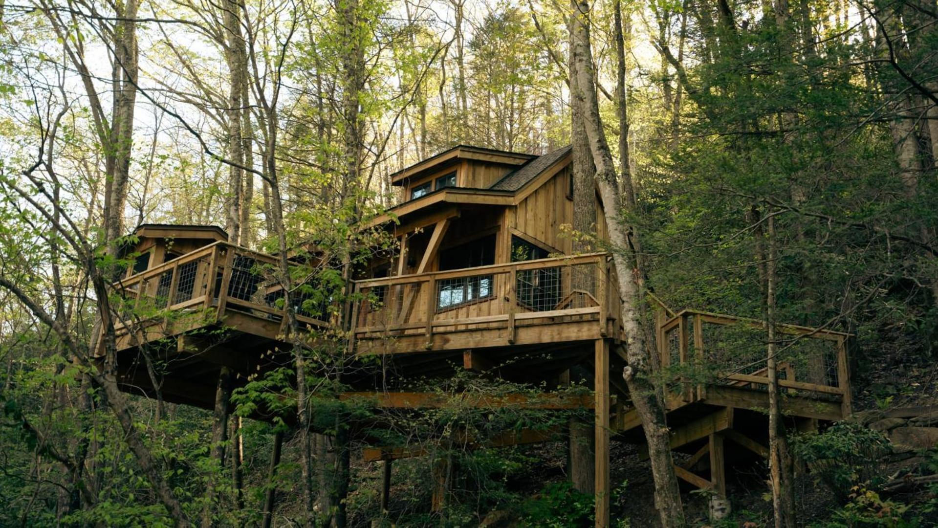 The Dogwood In Treehouse Grove At Norton Creek Villa Gatlinburg Exteriör bild