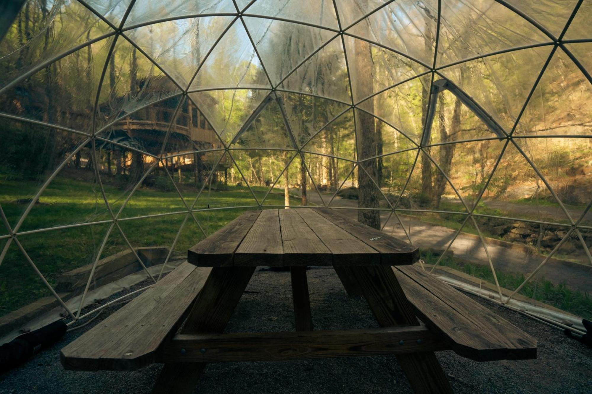 The Dogwood In Treehouse Grove At Norton Creek Villa Gatlinburg Exteriör bild