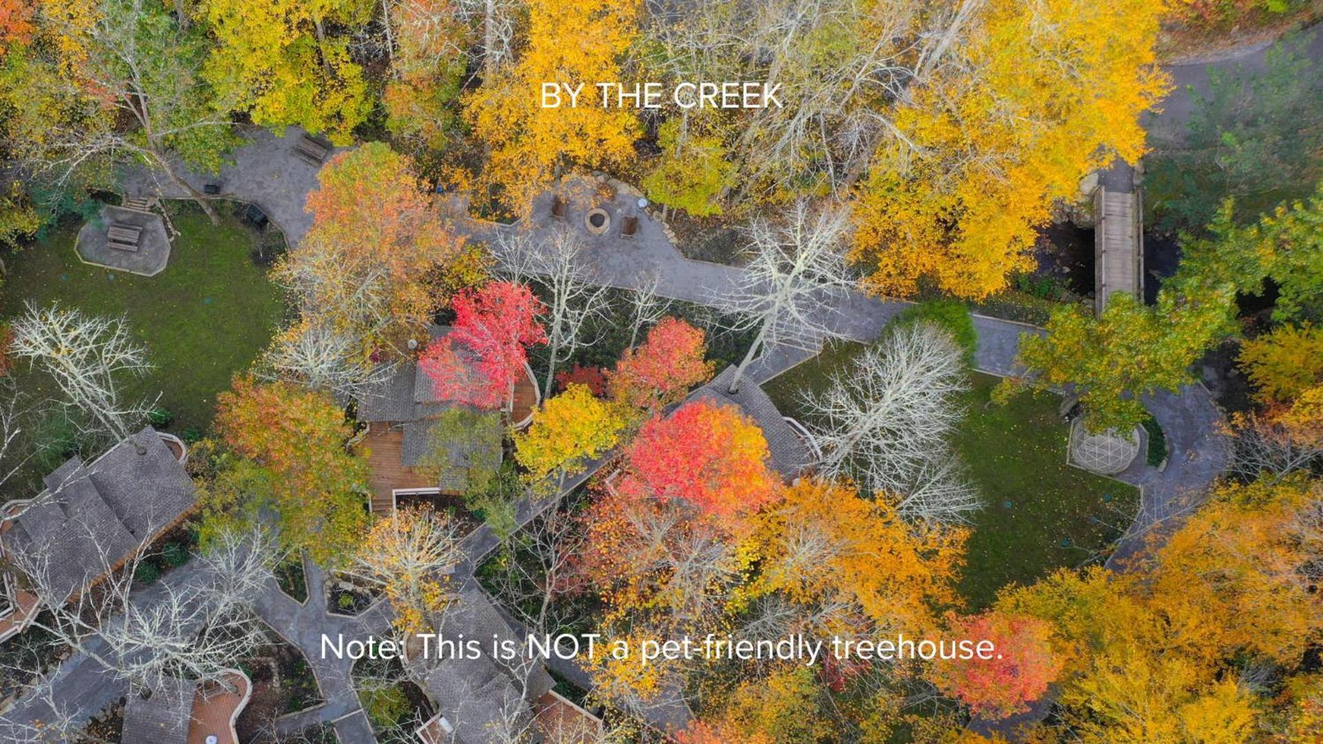The Dogwood In Treehouse Grove At Norton Creek Villa Gatlinburg Exteriör bild